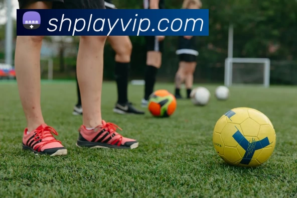 App Interface Preview