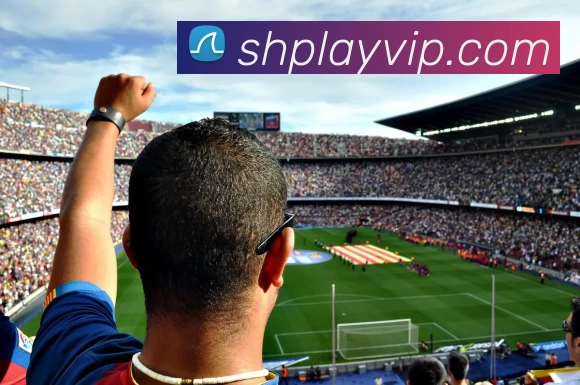 盛煌娱乐官网APP 封面图