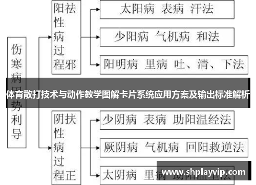 体育散打技术与动作教学图解卡片系统应用方案及输出标准解析