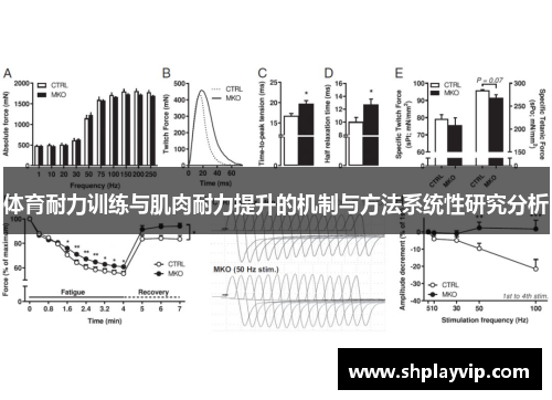 体育耐力训练与肌肉耐力提升的机制与方法系统性研究分析